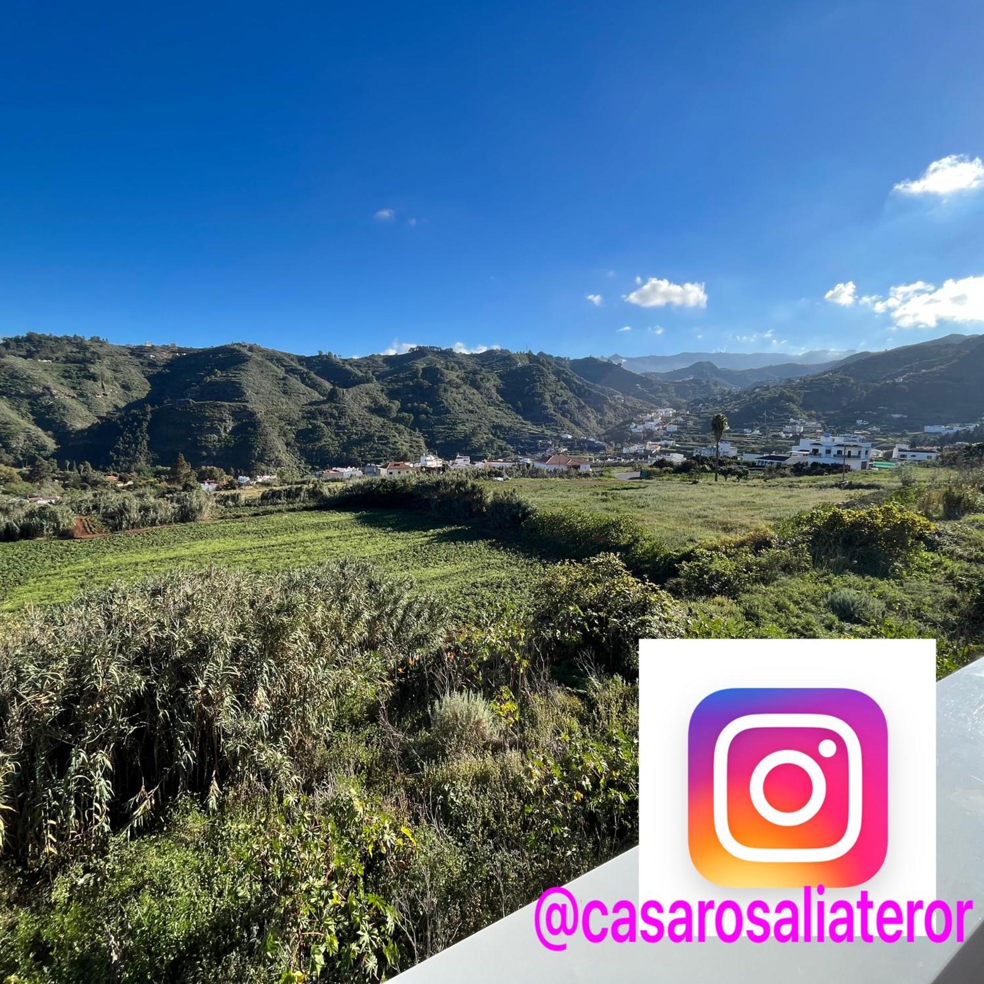Casa Rosalia. Apartamento Con Vistas A La Montana Teror Exteriör bild